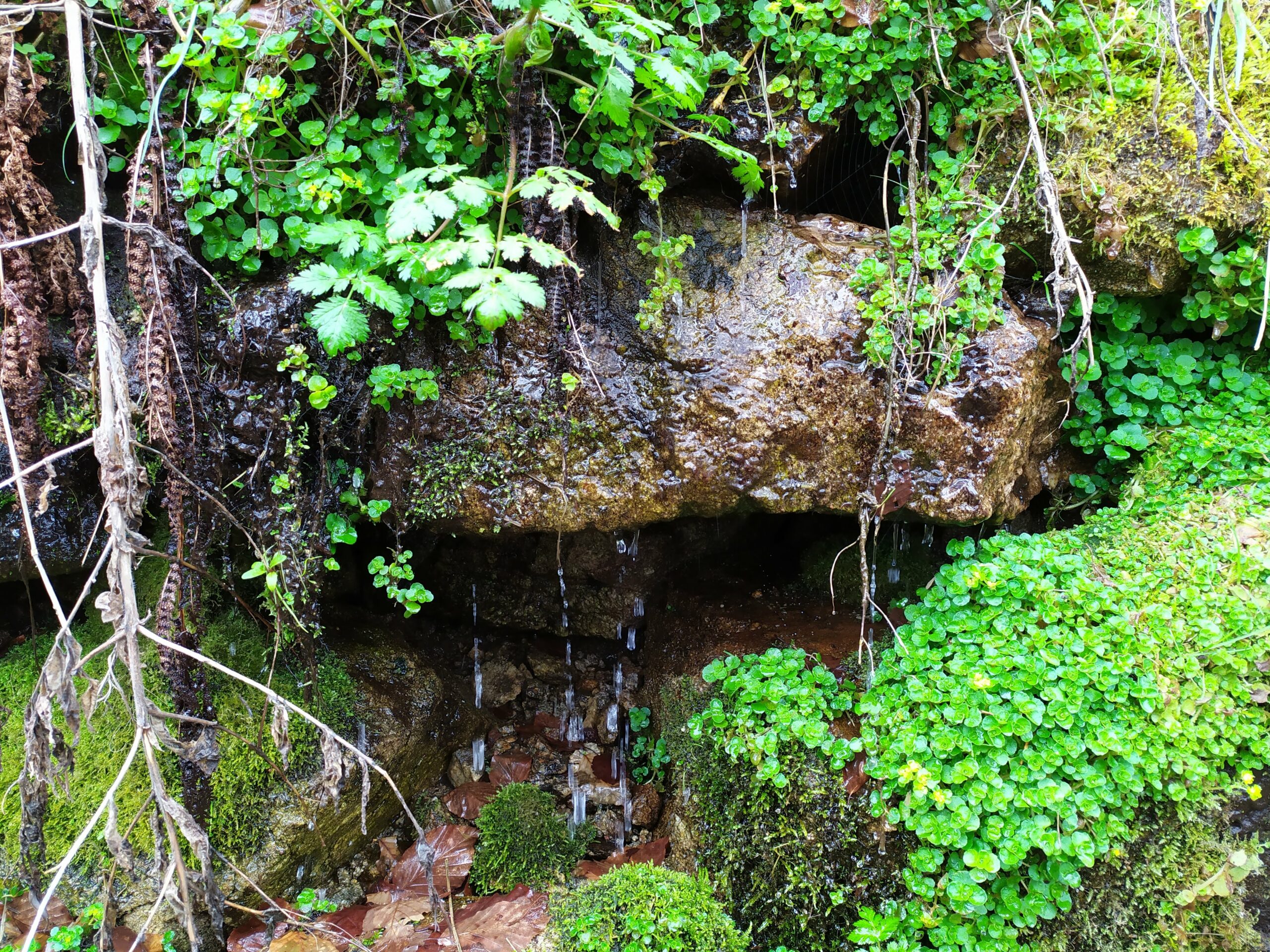 Les Sources de la Loire
