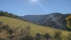 Paysage Auvergne-Rhônes-Alpes