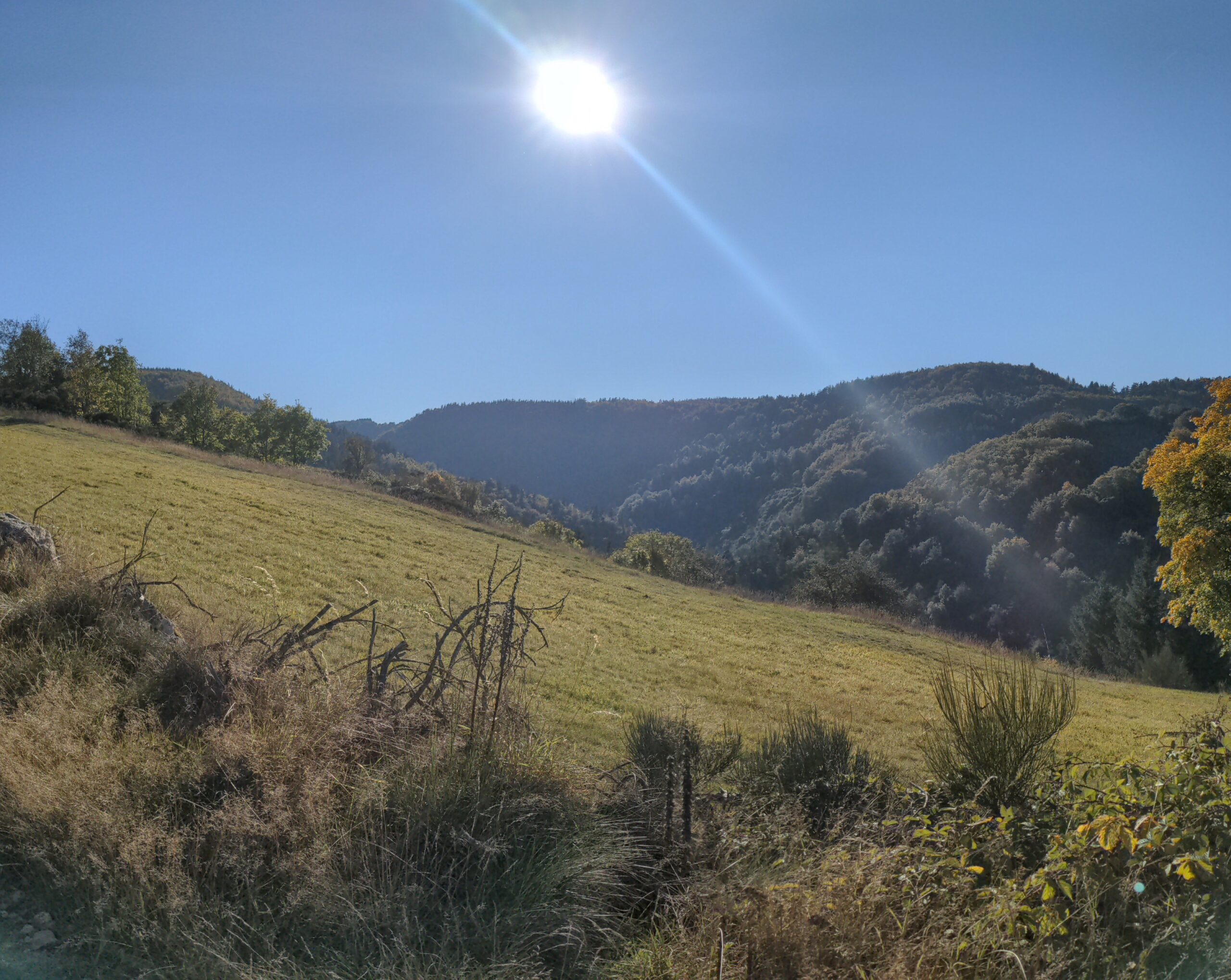 Paysage Auvergne-Rhônes-Alpes