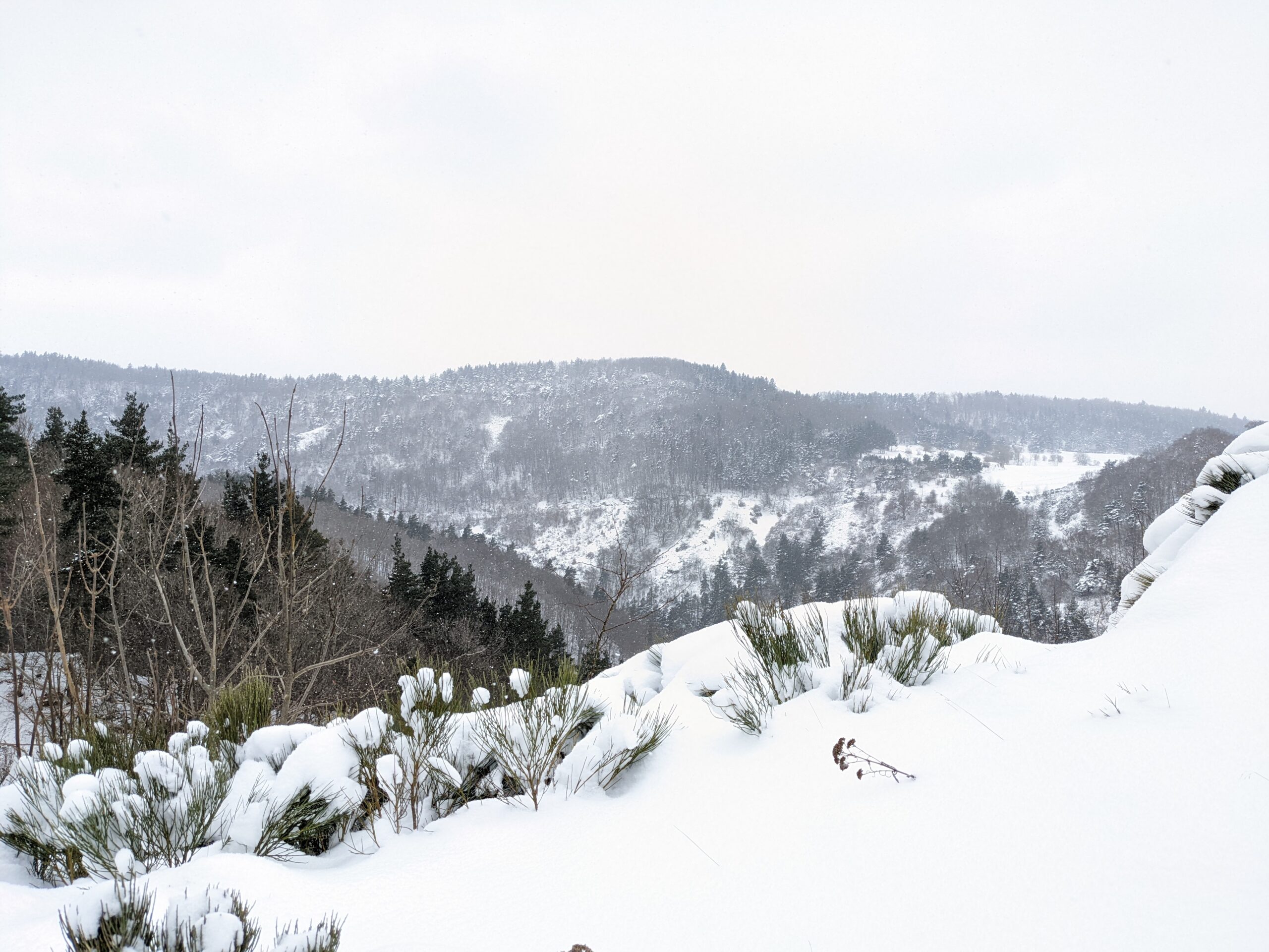 Montagnes basaltiques couverts de neige à Laffare en Haute-Loire
