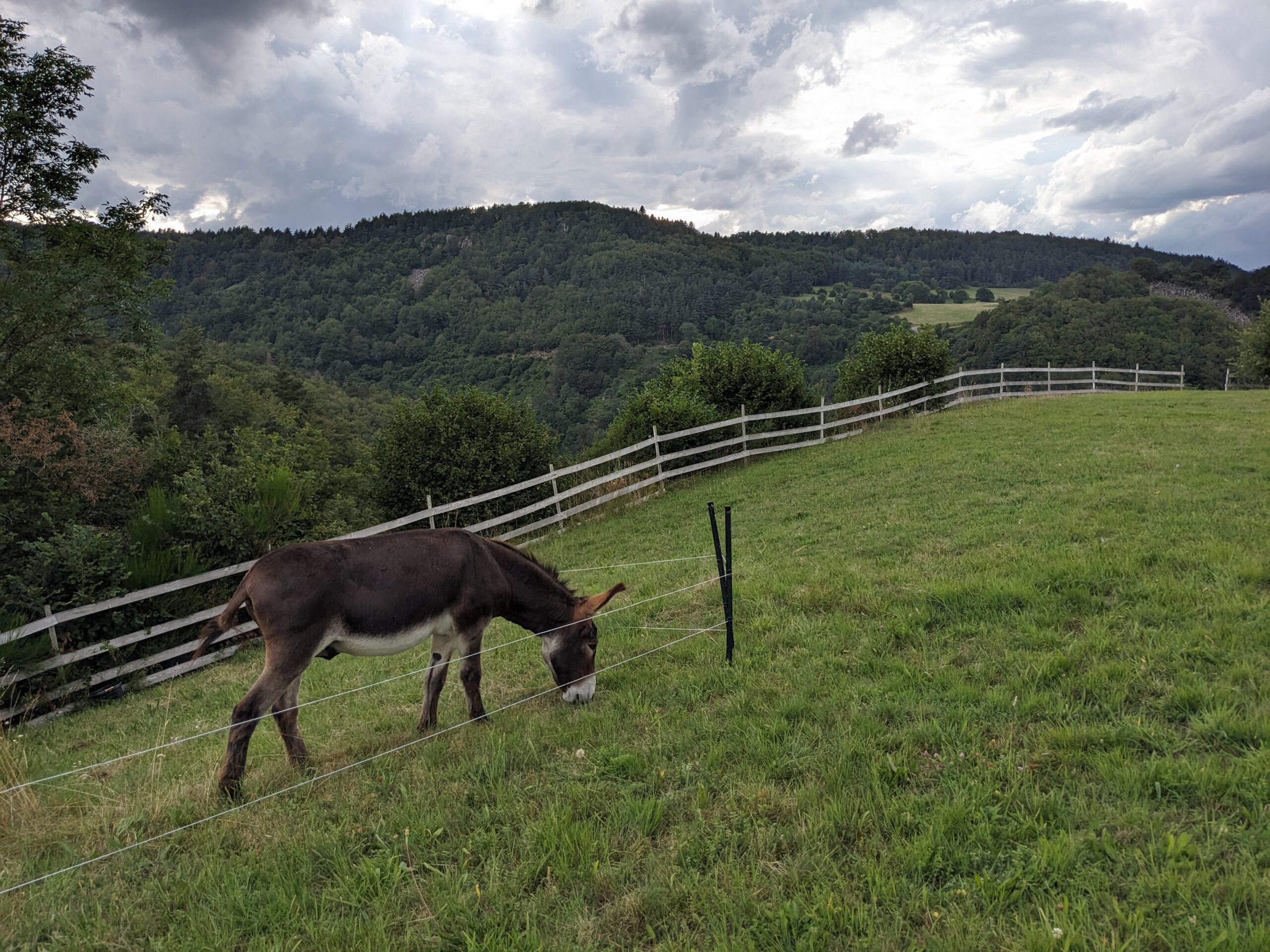 Nuit inoubliable proche de la nature et des animaux
