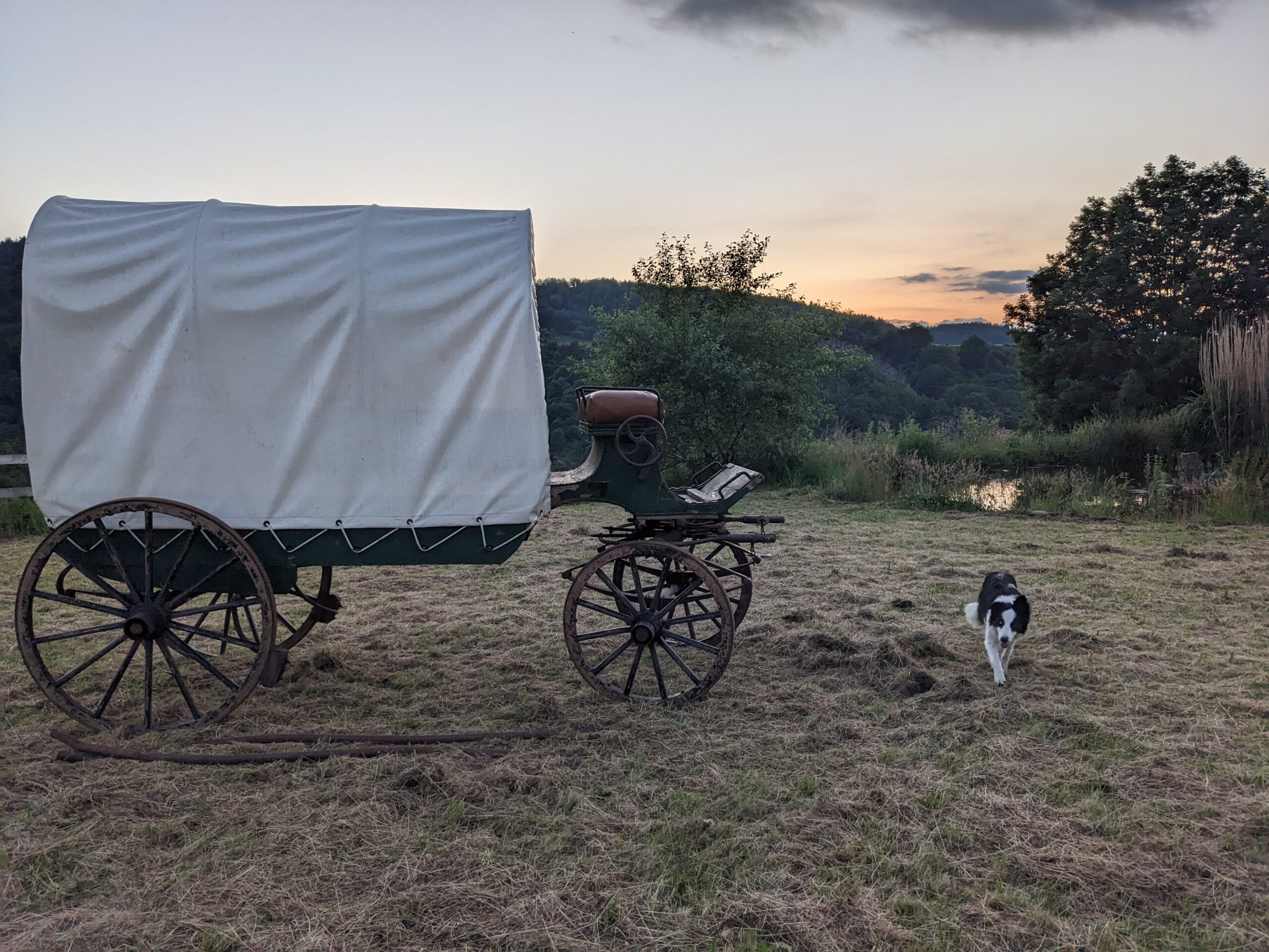 Chambre d'hôte Calèche Western dans la Prairie